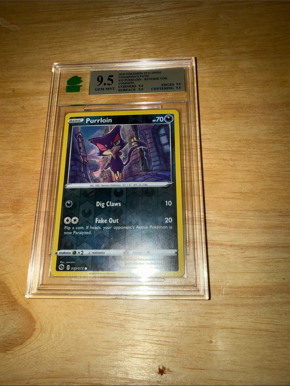 Pokemon Purrloin Card with Yellow Border - Pokemon TCG